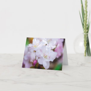 Carte de vœux Fleur de cerisier blanc