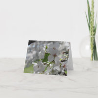Carte de vœux Fleur de cerisier blanche perle
