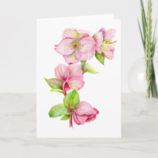 Carte de vœux - Fleur d'hellébore rose (Devant)