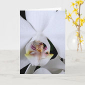 Carte de vœux fleur d'orchidée blanche (Fleur jaune)
