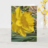 Carte de vœux fleur jaune (Fleur jaune)