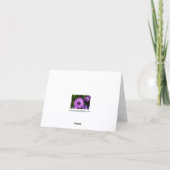 Carte de vœux fleur Marguerite Violette (Dos)