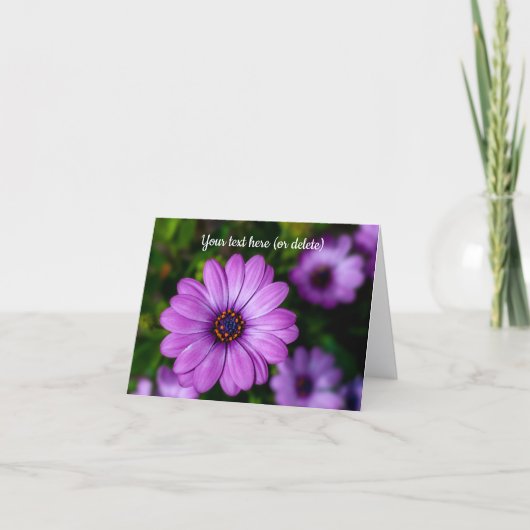 Carte de vœux fleur Marguerite Violette (Devant)