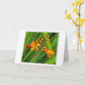 Carte de voeux Fleur orange humide (Fleur jaune)