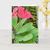 Carte de vœux fleur rose (Fleur jaune)