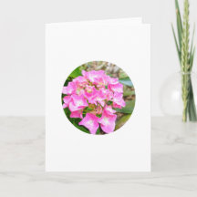 Carte de vœux Fleur sauvage