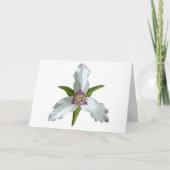 Carte de voeux Fleur sauvage de printemps Trillium (Devant)