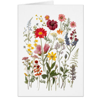 Carte de voeux fleur sauvage Toutes les occasions