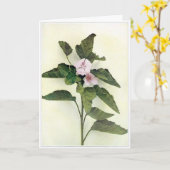 Carte de voeux Fleur sauvage vierge (Fleur jaune)