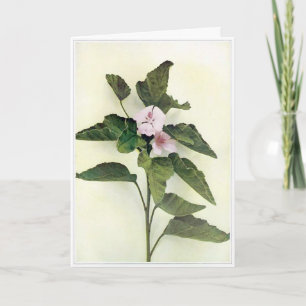 Carte de voeux Fleur sauvage vierge