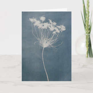 Carte de vœux Fleur Vierge à l'intérieur