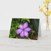 Carte de vœux fleur violette (Fleur jaune)