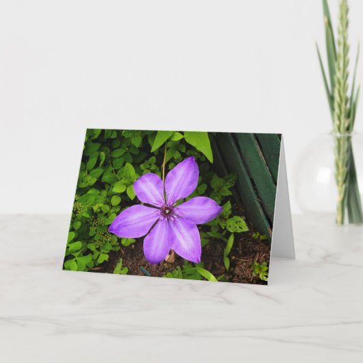 Carte de vœux fleur violette (Devant)