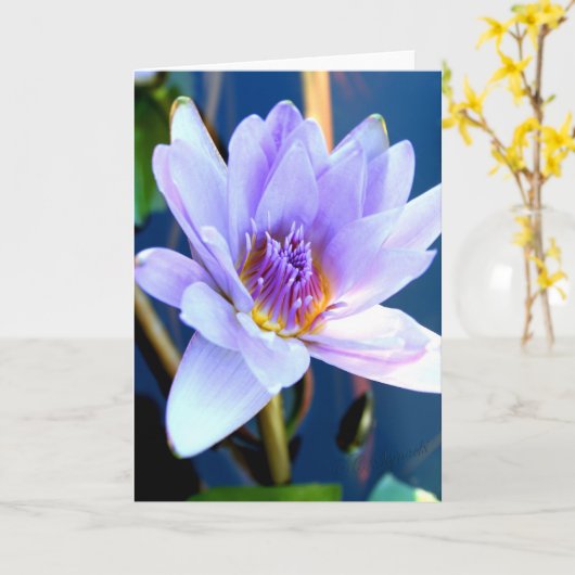 Carte de voeux fleurie (Fleur jaune)