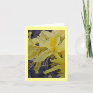 Carte de voeux fleurie Azalea jaune