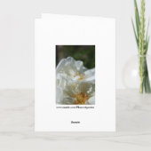 Carte de vœux Fleurs sauvages blanches et douces (Dos)