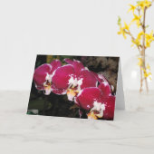 Carte de voeux Floral (Fleur jaune)