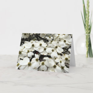 Carte de voeux florale de fleur de cornouiller