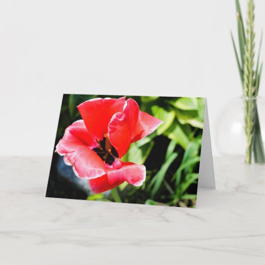 Carte de vœux florale je t'aime (Devant)