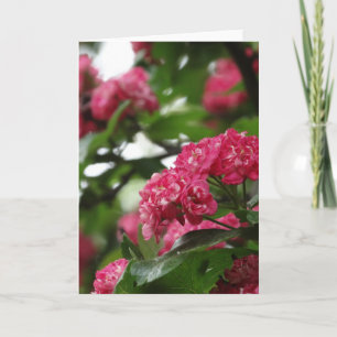 Carte de voeux florale, Standard