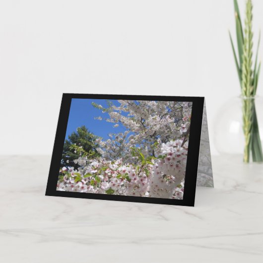 Carte de voeux Flower Cherry Trees (Devant)