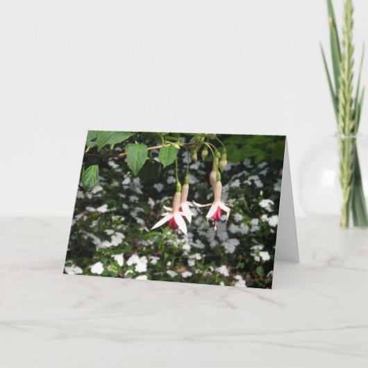 Carte de voeux Flowers en chute (Devant)