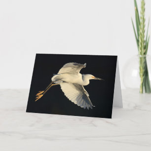 Carte de voeux - flyby de héron de Milou