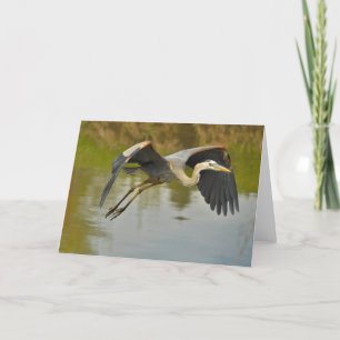Carte de voeux Flying Great Blue Heron