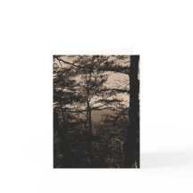 Carte de voeux Forest Nature Paysage