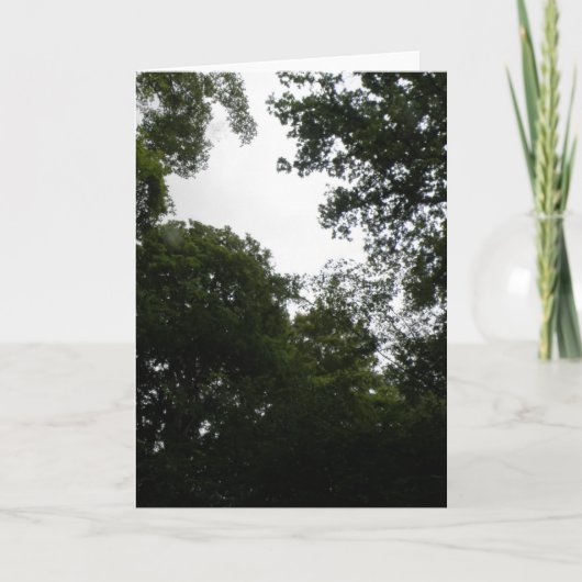 Carte de voeux Forêt déplaisante (Devant)