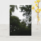 Carte de voeux Forêt déplaisante (Fleur jaune)