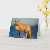 Carte de voeux Fox Brown (Fleur jaune)