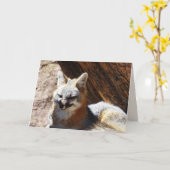 Carte de voeux Foxy, vide (Fleur jaune)