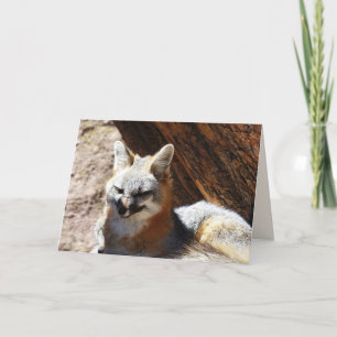 Carte de voeux Foxy, vide