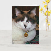Carte de voeux Frank (Fleur jaune)