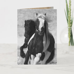 Carte de voeux Friesian and Gypsy Run Horse