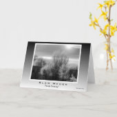 Carte de voeux - "Frosty Morning" (Fleur jaune)