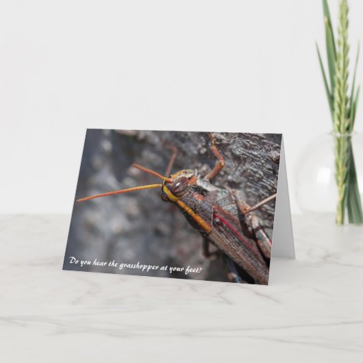 Carte de voeux Garden Locust Grasshopper (Devant)
