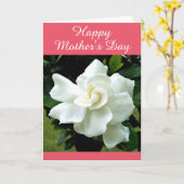 Carte de voeux Gardenia (Fleur jaune)