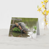 Carte de voeux Gator 0076 (Fleur jaune)