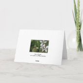 Carte de voeux Gaura Floral Photography (Dos)