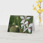 Carte de voeux Gaura Floral Photography (Fleur jaune)