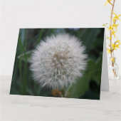 Carte de voeux géante Dandelion (Fleur jaune)