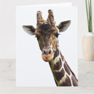 Carte de vœux géante Girafe vue du dessus