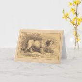 Carte de voeux générale d'épagneul de Clumber (Fleur jaune)