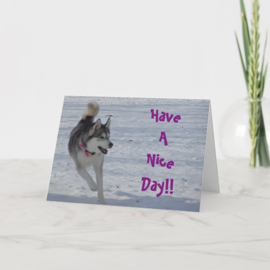 Carte de voeux générale n° 1 (Devant)