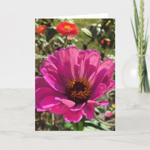 carte de voeux gerbera (vide à l'intérieur)