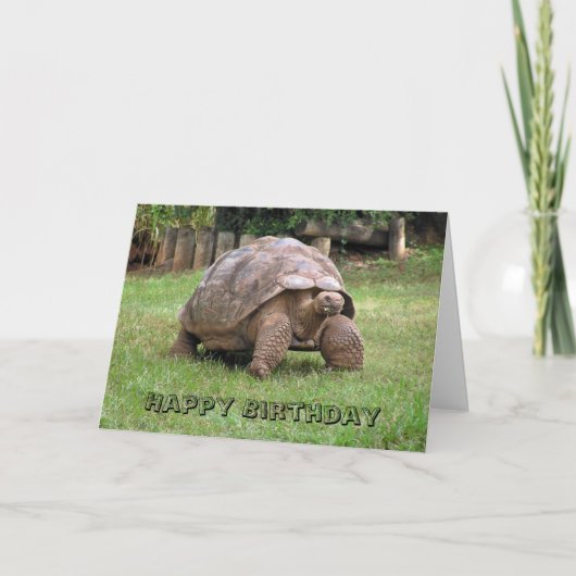 Carte de voeux Giant Tortoise (Devant)