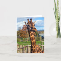 Carte de vœux girafe