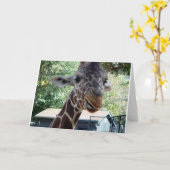 Carte de vœux girafe intérieur vierge (Fleur jaune)